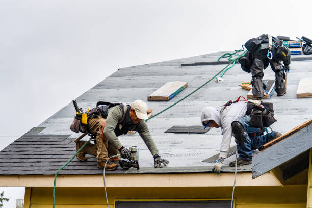 Professional Emergency Roof Repair technician working in Roxboro, NC